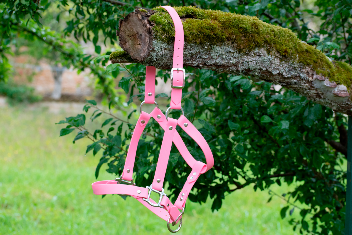 Licol en biothane rose