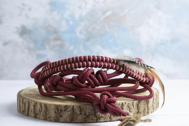 Tressage Phoenix – Licol éthologique personnalisable