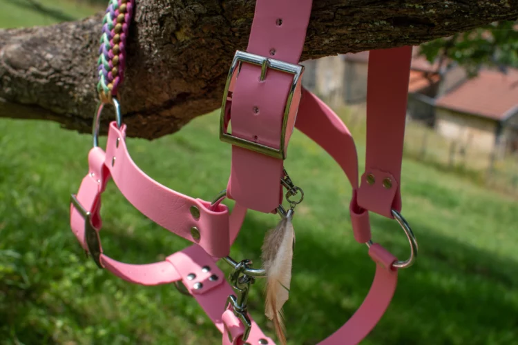 Licol plat 100% biothane – Gamme trait