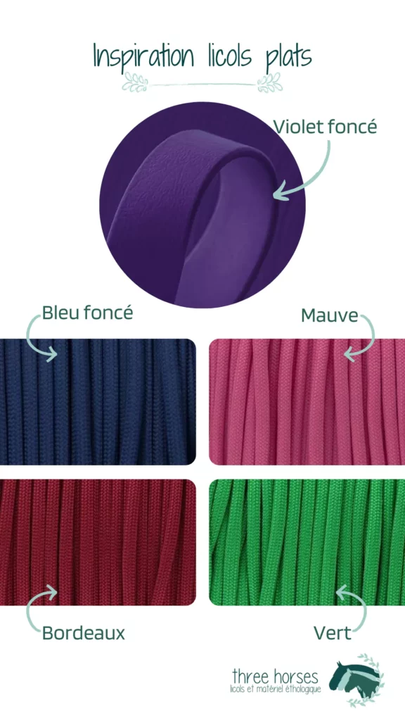 Idées de couleurs pour licol : violet foncé