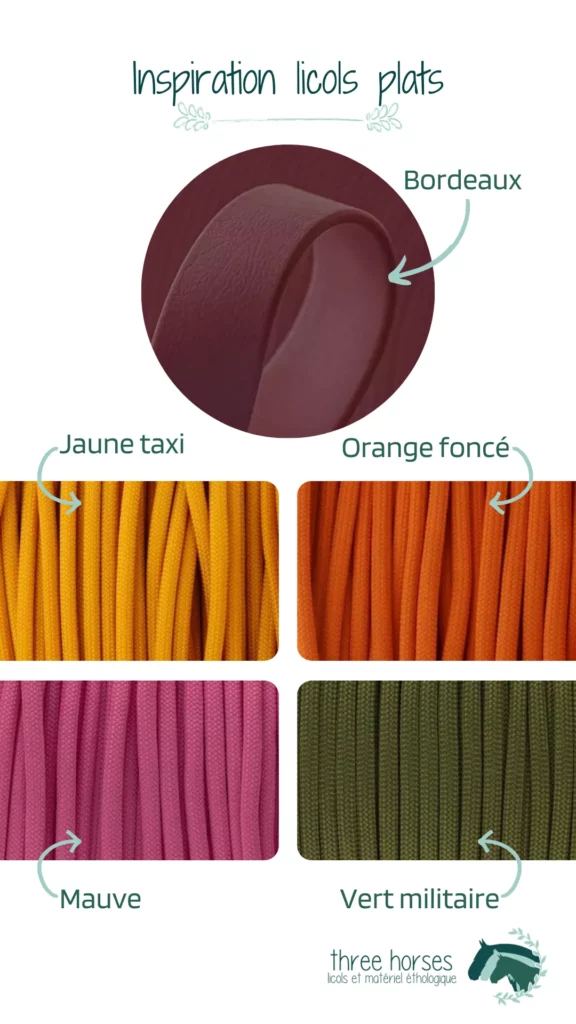 Idées de couleurs pour licol : Bordeaux