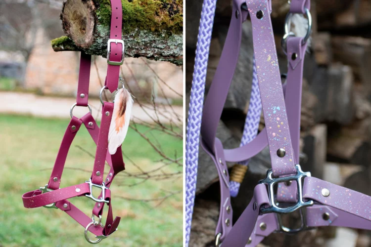 Licol plat en biothane Paint