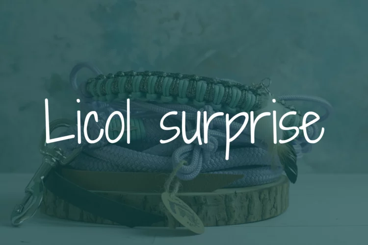 Licol en corde Surprise