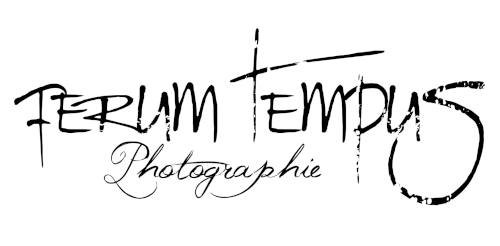 thumbnail_logo ferum tempus