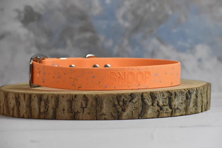 Collier pour chien Paint en biothane