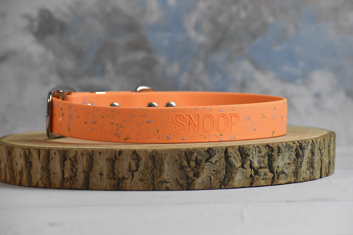 Collier pour chien en biothane-10 Collier pour chien en biothane-10