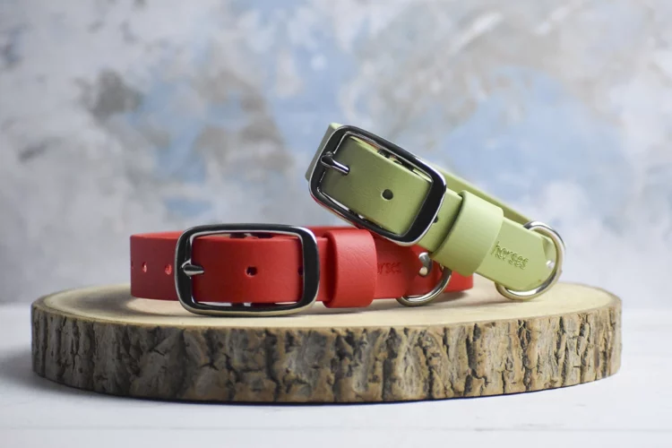 Collier pour chien en biothane