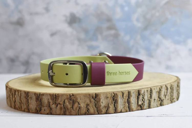 Collier pour chien en biothane bicolore