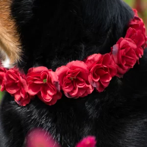 Collier à fleurs