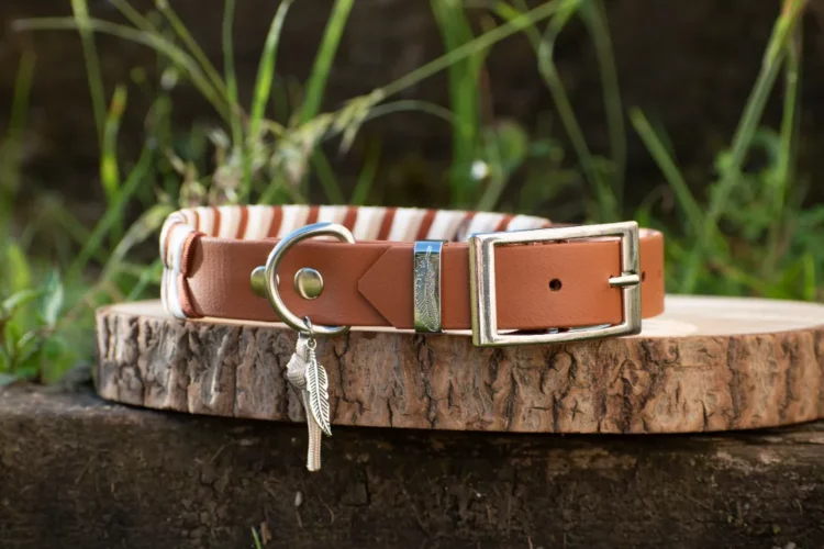 Collier Rivière – Gamme Fairy Tale pour chien