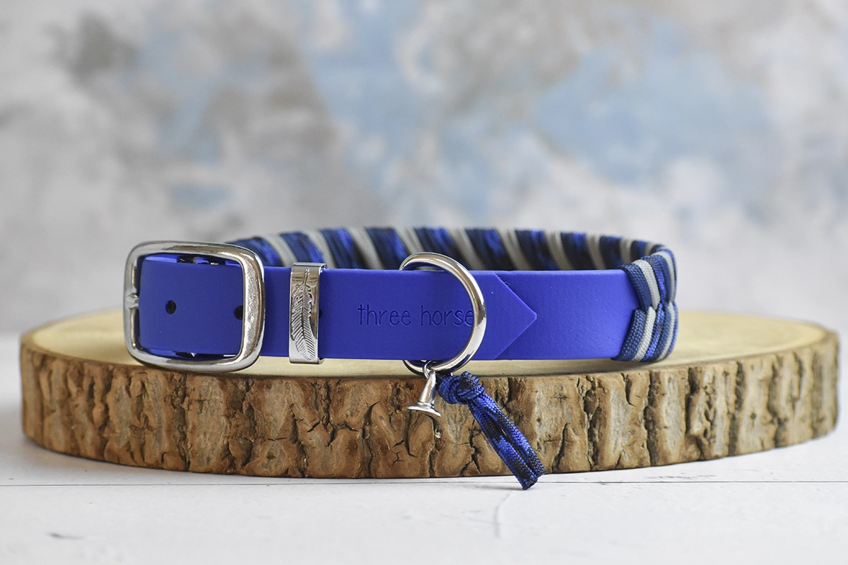 collier pour chien bleu