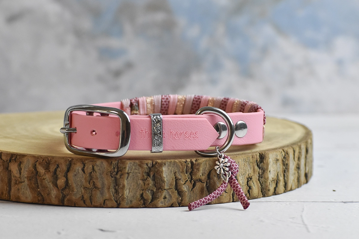 collier pour chien en biothane tressé rose