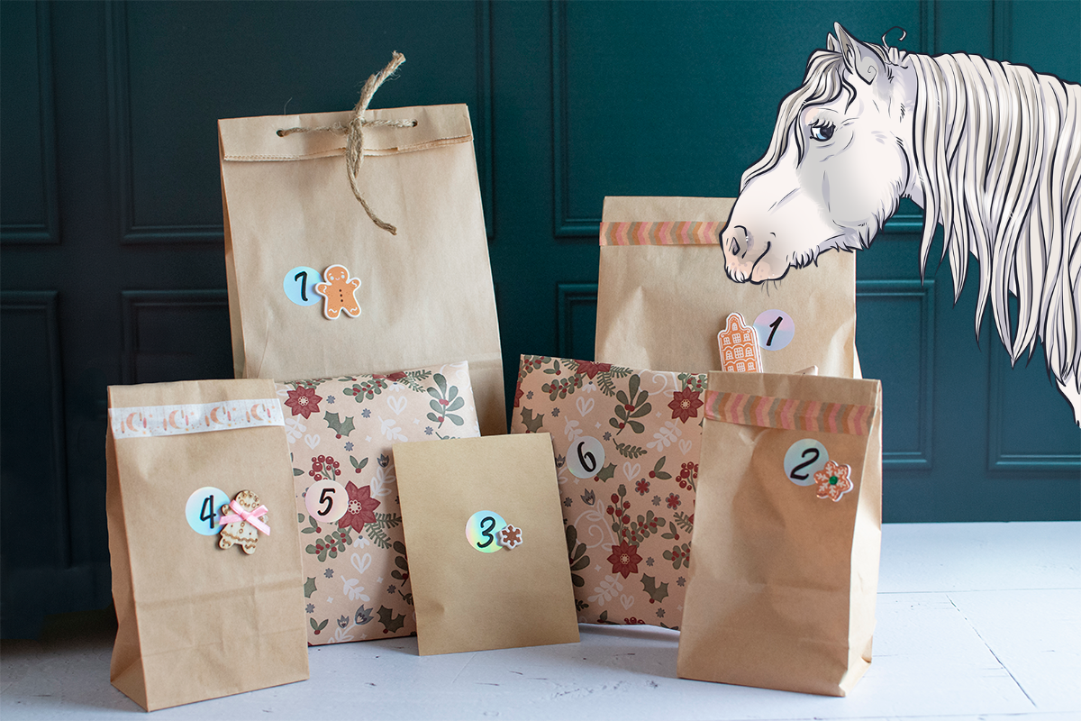 calendrier de l'après cheval calendrier de l'après cheval