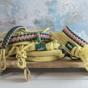 Kit complet jaune pastel - Taille Cheval