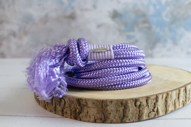 Cordelette à pompon violette – Taille cheval