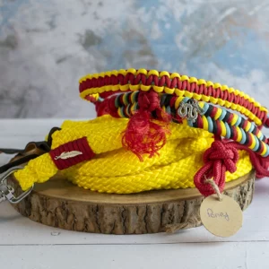 Kit Mushu - Taille Poney