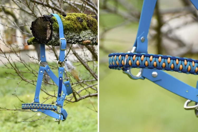 Tressage Lady – Licol plat