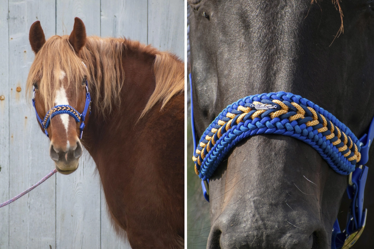 Licol plat en biothane-15 Licol plat en biothane-15