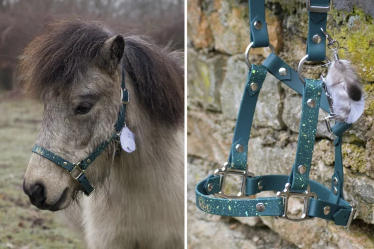 Licol plat en biothane Paint – Gamme Shetland