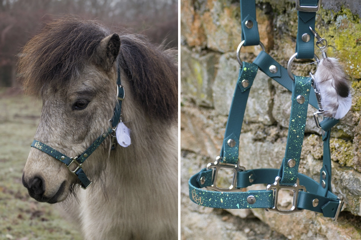 Licol plat en biothane-3 Licol plat en biothane-3