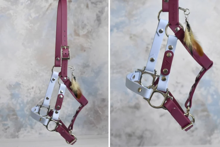 Licol en biothane Rainbow – Gamme Shetland