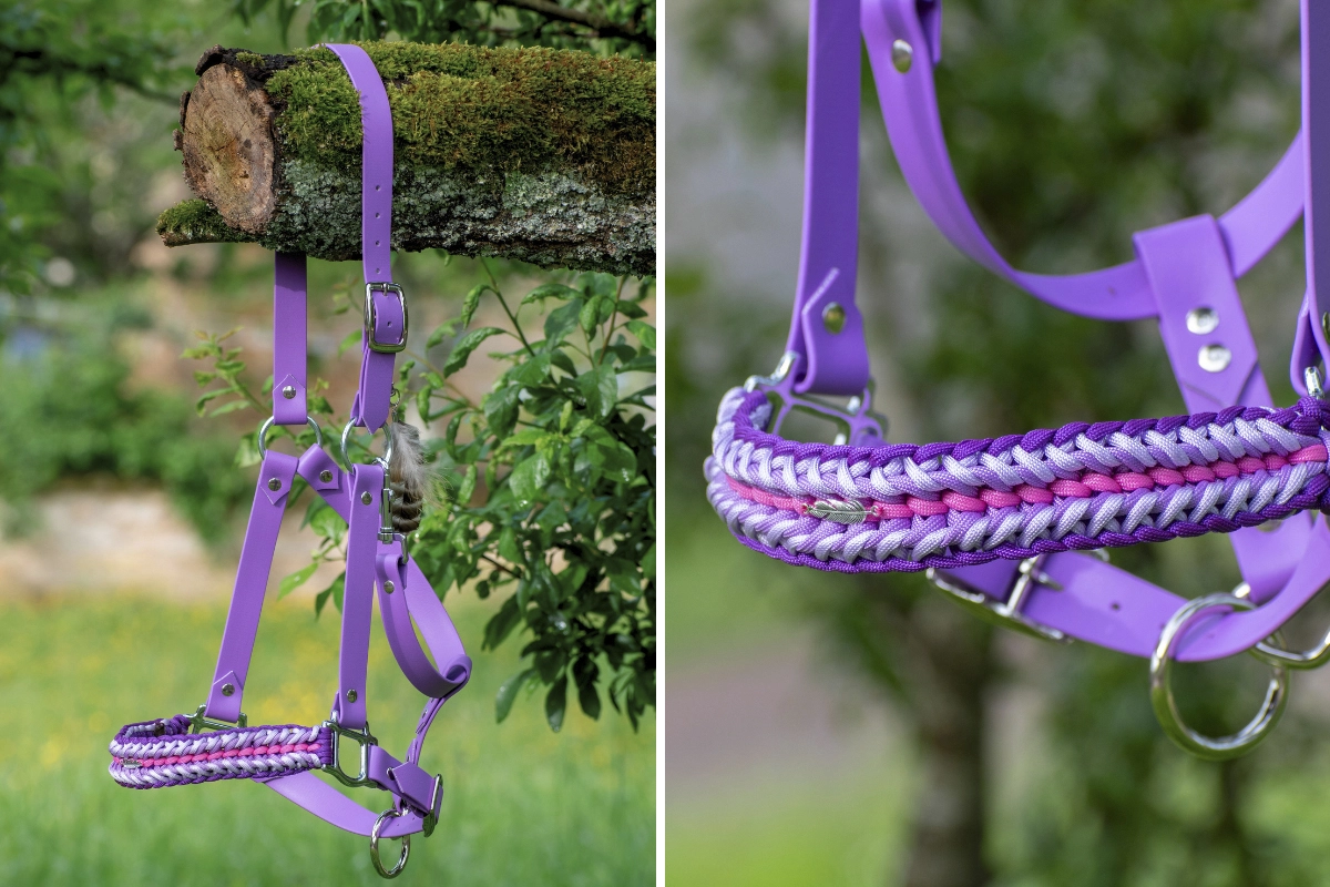 Licol plat en biothane-5 Licol plat en biothane-5