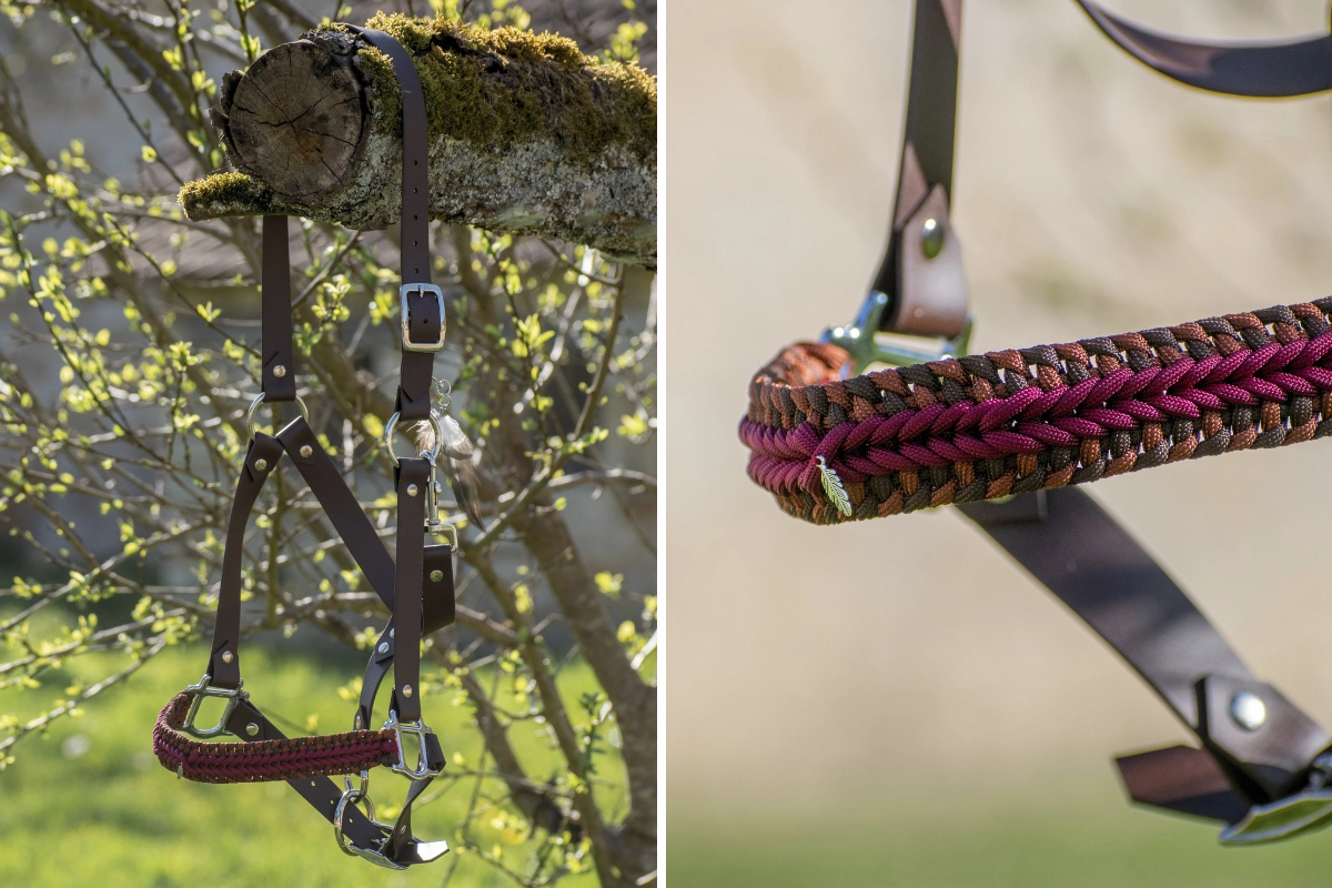 Licol plat en biothane-9