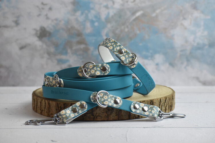 Ensemble Collier et Laisse multiposition en biothane – Collection Hiver Chien