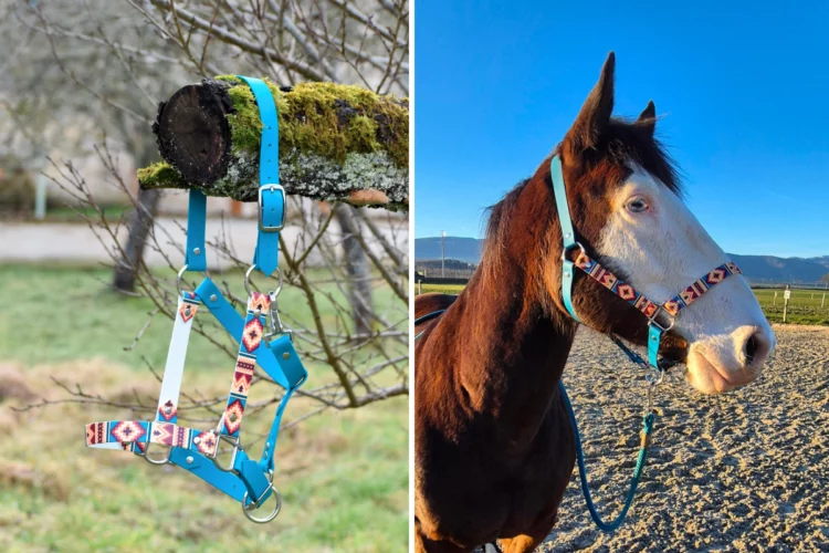 Taille Poney, Cob ou Cheval – Licol plat Amérindien – Collection Printemps