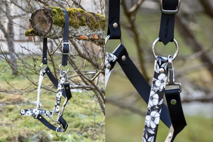 Taille Cheval – Licol plat Noir – Collection Hiver