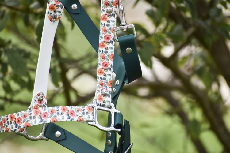 Taille Poney, Cob ou Cheval – Licol plat Vert foncé – Collection Automne