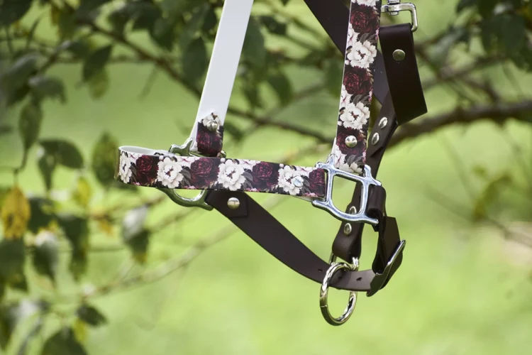 Taille COB – Licol plat Brun foncé – Collection Automne