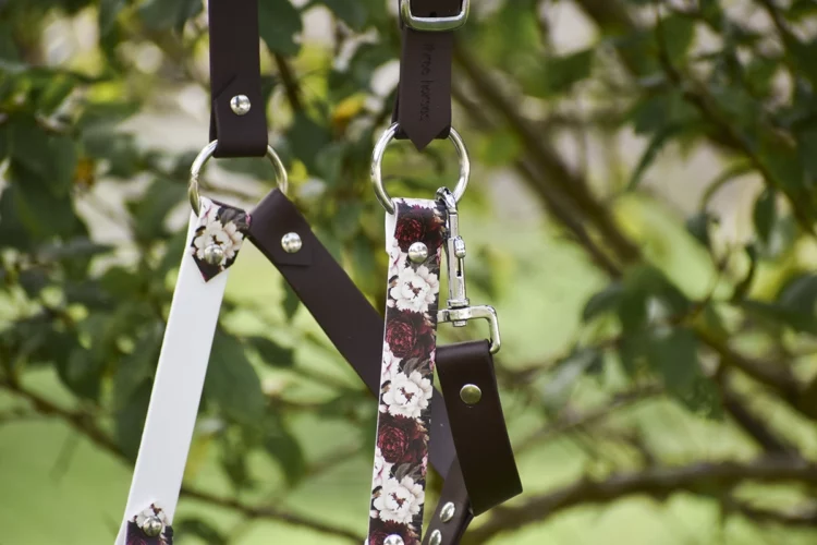 Taille Shetland et mini – Licol plat Brun foncé – Collection Automne