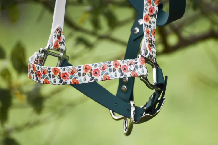 Taille Shetland et mini – Licol plat Vert foncé – Collection Automne