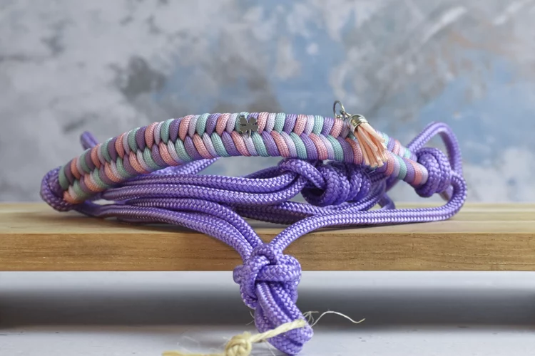 Licol en corde Violet – Gamme Camaïeu