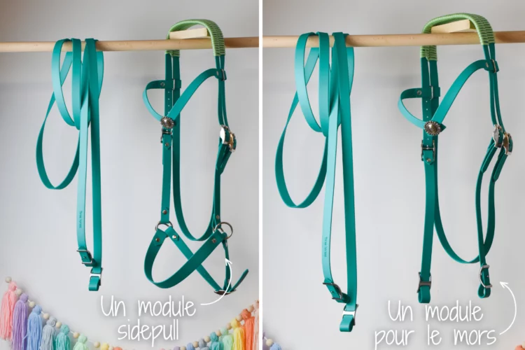 Bridon 2 en 1 et sa paire de rênes – Taille Cheval