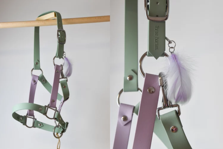 Licol en Biothane Sauge et Violet pastel – Taille Poney