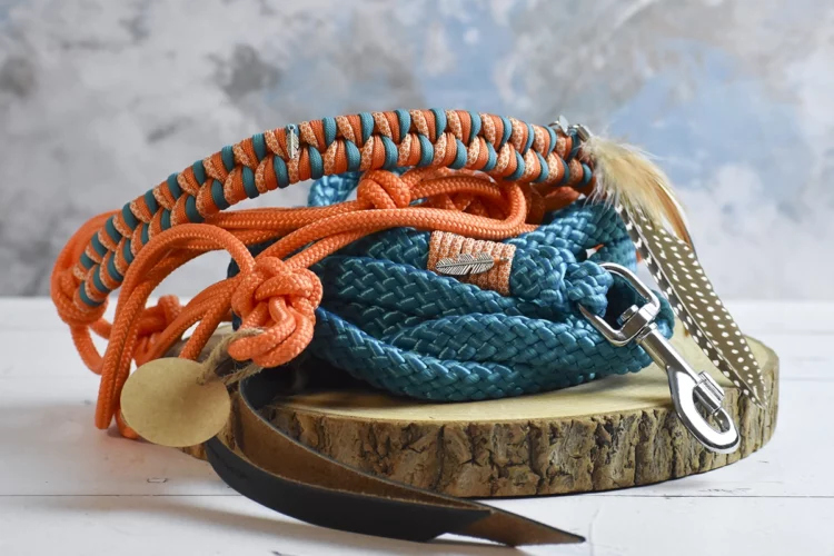 Ensemble Orange – Taille Cheval