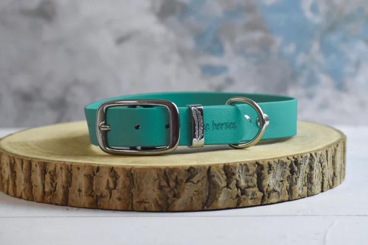 Collier pour chien Vert – Taille L