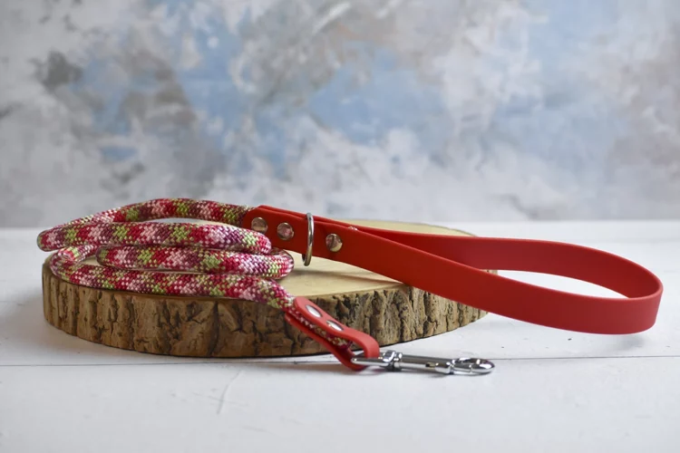 Laisse courte Fraise