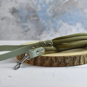 Laisse courte Sauge et Vert militaire
