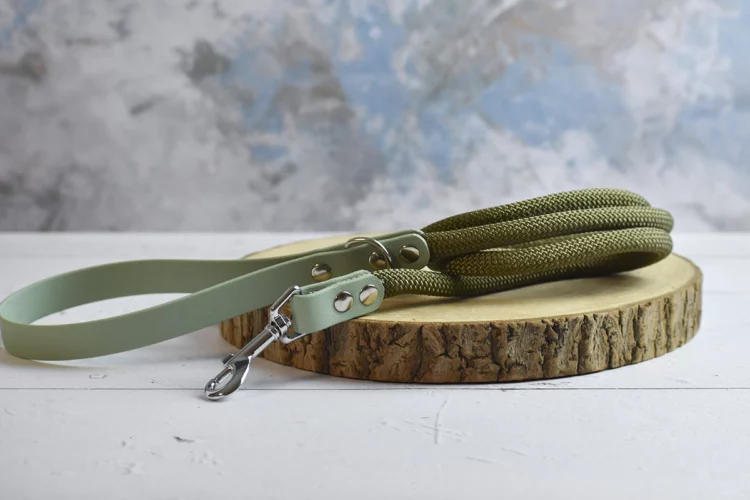 Laisse courte Sauge et Vert militaire