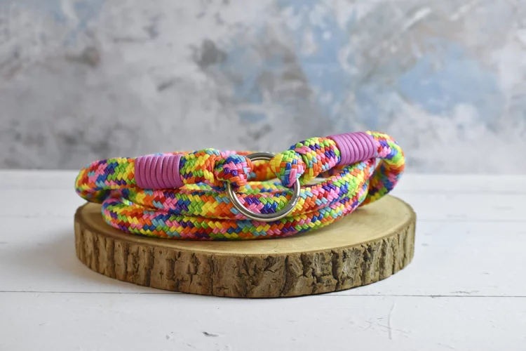 Cordelette épaisse Arc-en-ciel – Taille cheval