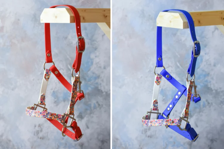 Taille Poney, Cob ou Cheval – Licol plat Fleuri – Collection Printemps