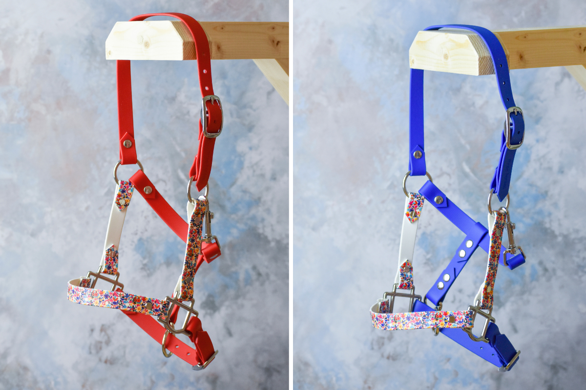 licol en biothane fleuri licol en biothane fleuri