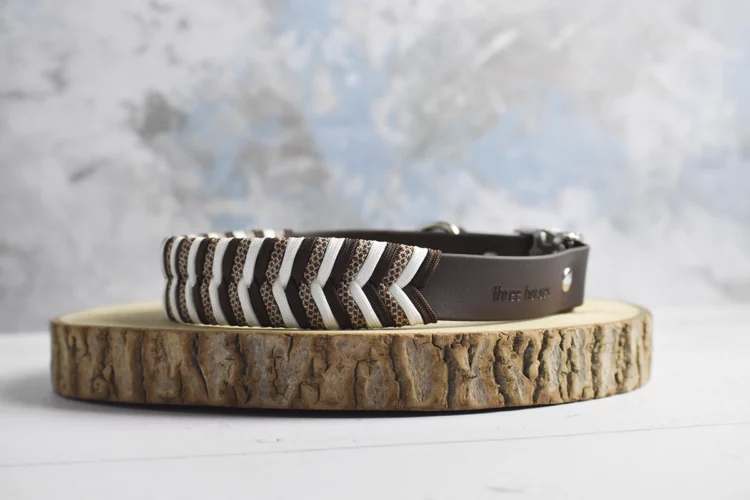 Collier en biothane tressé – Edition limitée