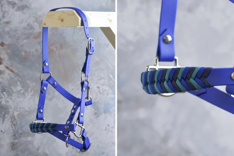 Licol Bleu – Gamme Camaïeu – Taille Shetland