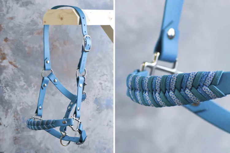 Licol Bleu Paon – Gamme Camaïeu – Taille Shetland