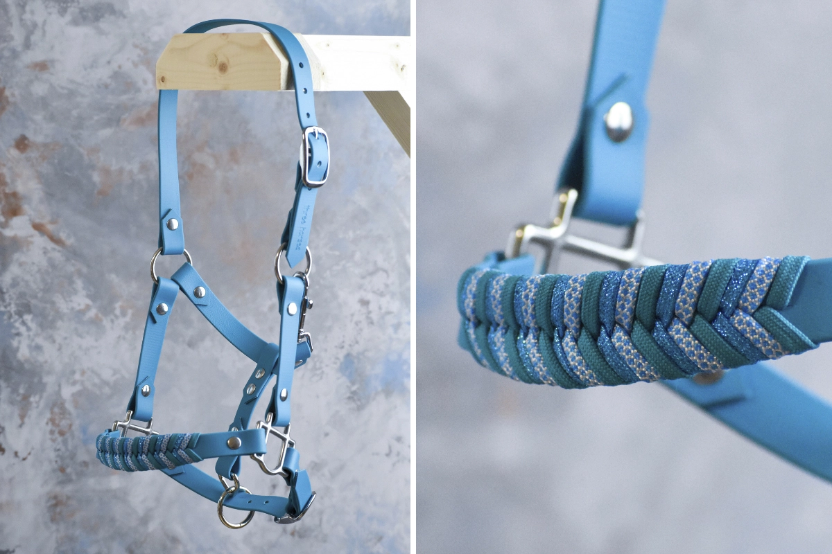 Licol plat en biothane bleu canard Licol plat en biothane bleu canard