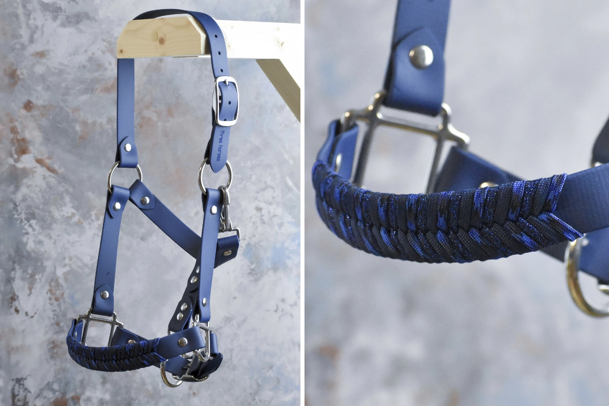 Licol plat en biothane bleu foncé